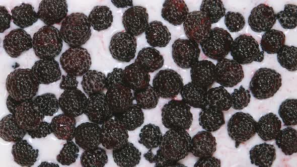 Milk fills a blackberries