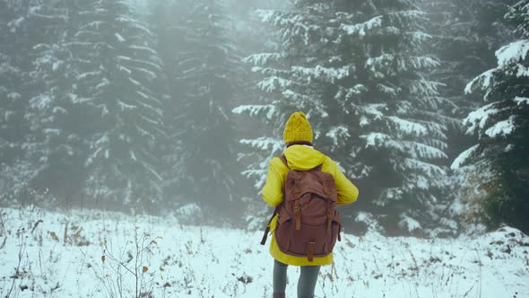 Woman Backpacker in Yellow Wear Walking in Winter Fir Forest