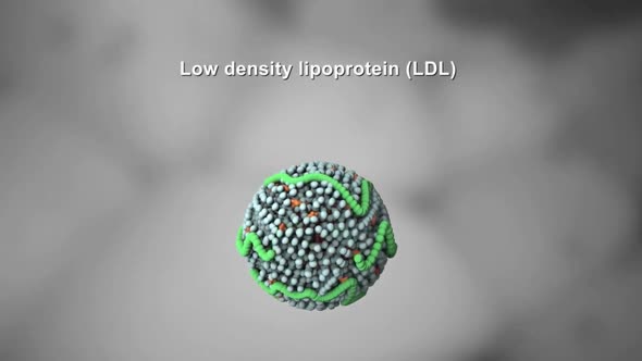 Very-low-density lipoprotein (VLDL) cholesterol