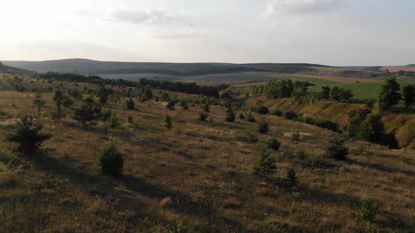 Aerial View of Ukraine Countryside During Sunset With Birds Flying Through Frame