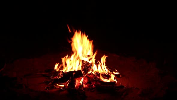 Nighttime Outdoor Wood Campfire