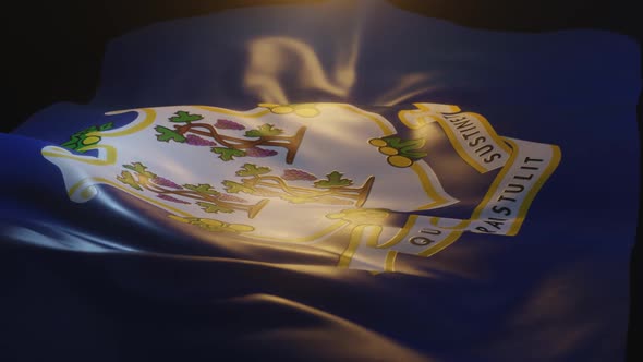 Connecticut State Flag Low Angle View