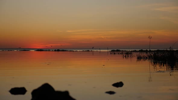 Reflection of Beautiful Sunset in the Sea and Flying Birds in the Background