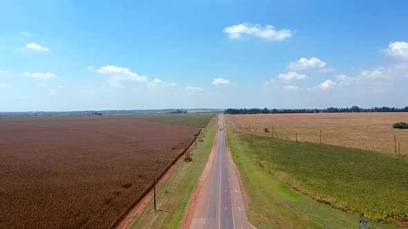 Road Through The Crops