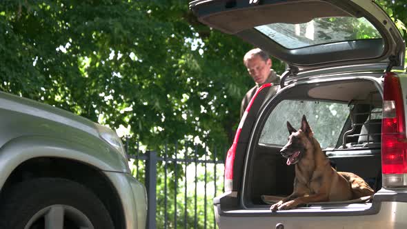 Dog in a Car Trunk Is Barking on a Stranger.