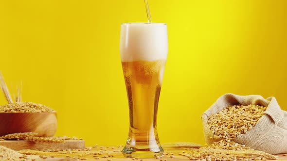 Foamy Beer in Glass Closeup