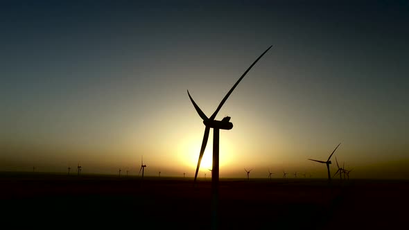 Work of Wind Turbines in Wheat Fields During the Colored Summer Sunset, Silhouette, Aerial Survey