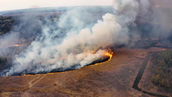 Epic natural disaster, forest fire in summer 2020