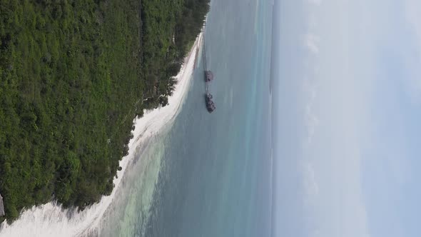 Zanzibar Tanzania  Coast of Island Covered with Thickets Slow Motion