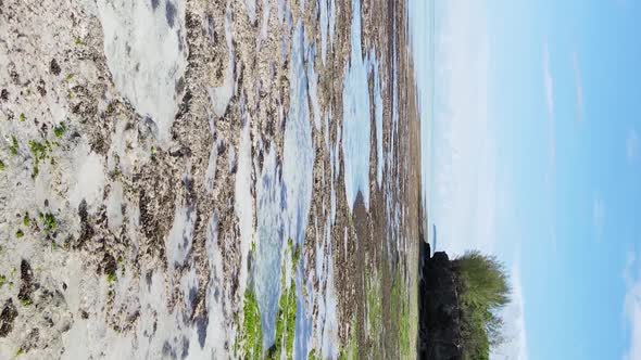 Vertical Video of Low Tide in the Ocean Near the Coast of Zanzibar Tanzania Aerial View