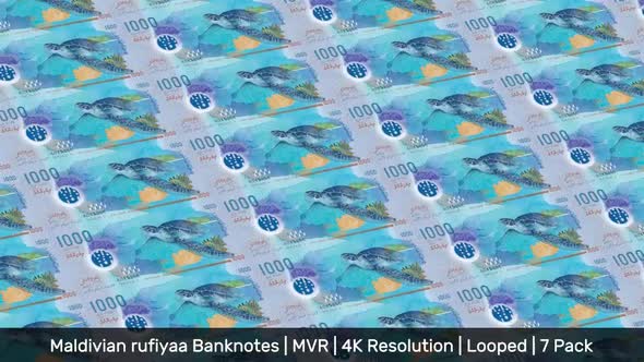 Maldives Banknotes Money / Maldivian rufiyaa / Currency .ރ / MVR/ | 7 Pack | - 4K