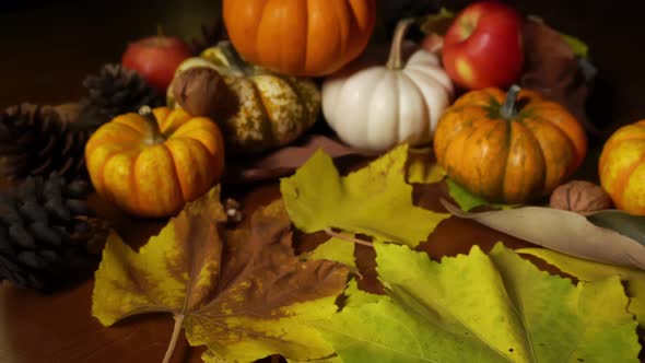 Rustic Still Life Made of Seasonal Autumn Vegetables and Maple Foliage Filmed in Closeup