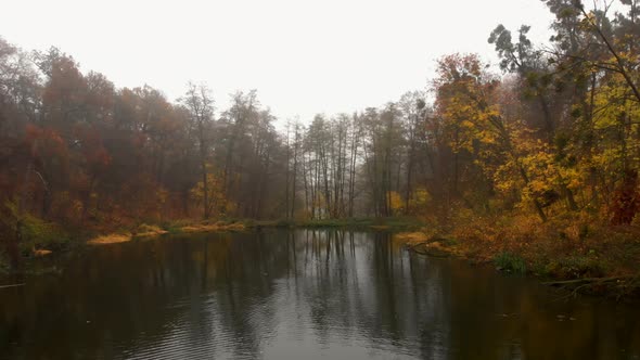 Aerial Drone Shot of Colourful Trees Over Small Lake in Fog in Autumn Park