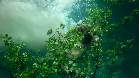 Fairytale Undersea Forest or Garden Pretty Young Woman is Swimming Between Trees on Bottom