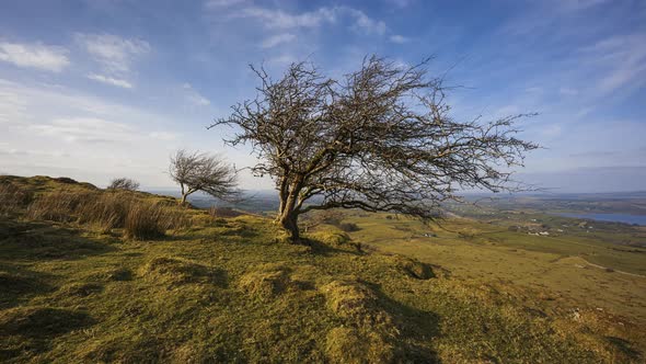 Time lapse of rural and remote landscape of grass, trees and rocks during the day in hills of Carrow