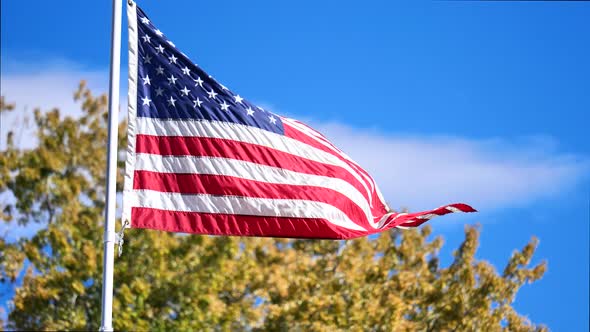 American flag blowing in the breeze with beautiful blue skies and fall trees in background.