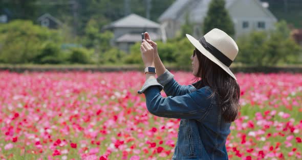 Woman Take Photo on Poppy Flower Garden