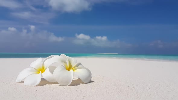 Aerial drone shot panorama of tranquil seashore beach holiday by clear water and white sandy backgro