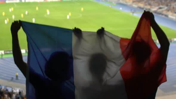 Soccer Fans With French Flag Jumping in Stands, Cheering for Favorite Team