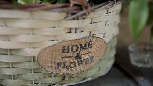 Beautiful Scenery for the Design of the Hall. House and Flowers. Basket.