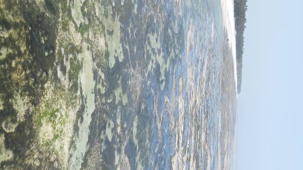 Vertical Video of Low Tide in the Ocean Near the Coast of Zanzibar Tanzania Aerial View