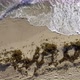 View at Sunny Sand Beach with Rolling Waves in Miami in USA - VideoHive Item for Sale