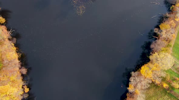 Aerial top down view of autumn forest with green and yellow trees. Mixed deciduous and coniferous fo