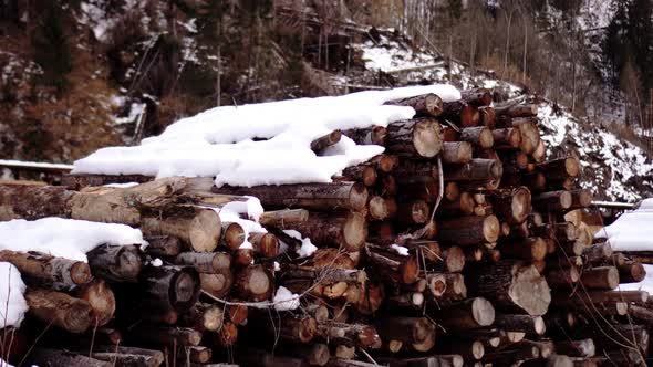 Storage of Wooden Logs Covered in Snow