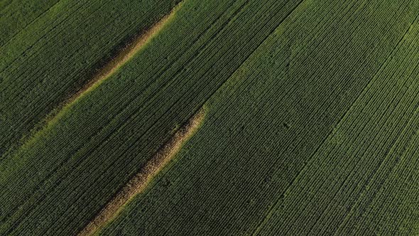 General view of countryside landscape, drone view