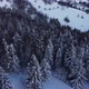 Flying Over the Snow Trees - VideoHive Item for Sale