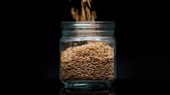 Closeup of Falling Down Barley Into Glass Jar on Black Background