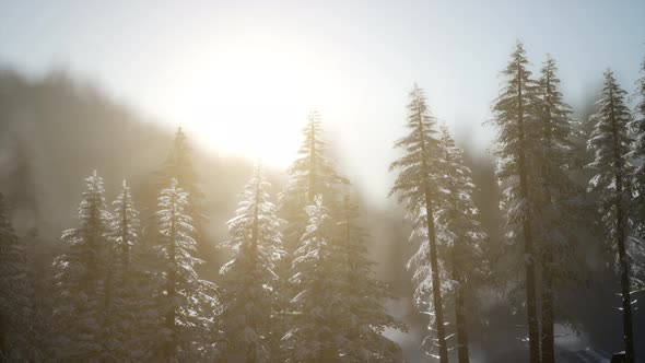 Dramatic Winter Sunrise in the Mountains