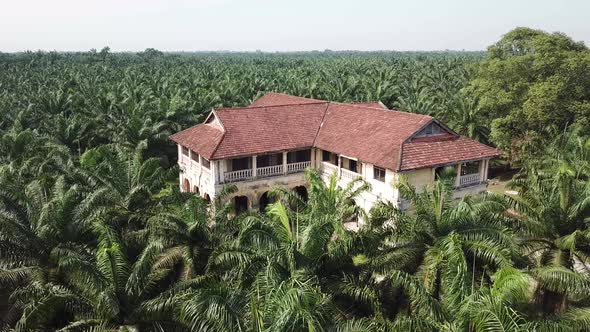 Aerial view 99 doors mansion in oil palm estate
