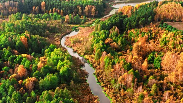 Aerial view of wildlife, Poland. River and swamps in autumn.