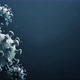 Virus 3D Coronavirus - VideoHive Item for Sale