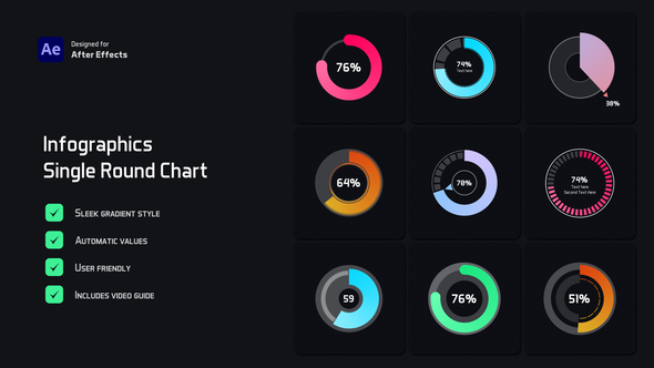 Single Round Chart Infographic