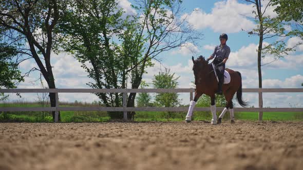 Jockey Riding On The Back Of Her Brown Horse Preparing For The Competition