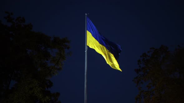 Ukrainian Flag On A Wind