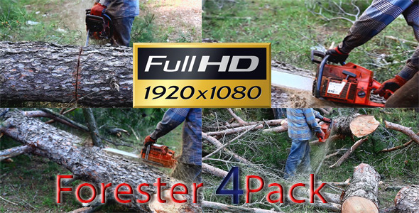 Forester 4 Pack Full HD