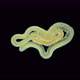 A worm under a microscope, long, like a parasitic. Part of the worm - VideoHive Item for Sale