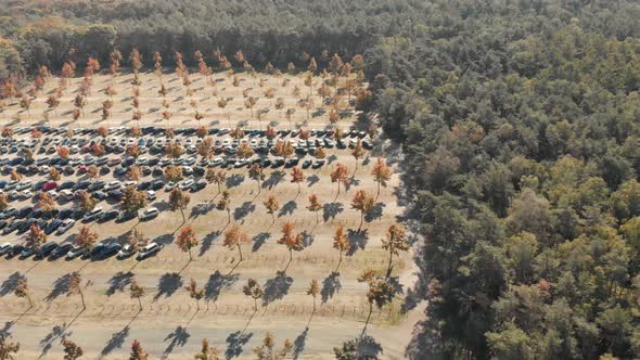 Sideway aerial drone shot of a parking space in the middle of a forest with cars parked and sunlight