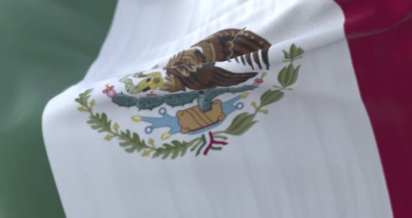 Mexico Flag Waving