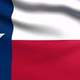 Texas Flag - VideoHive Item for Sale