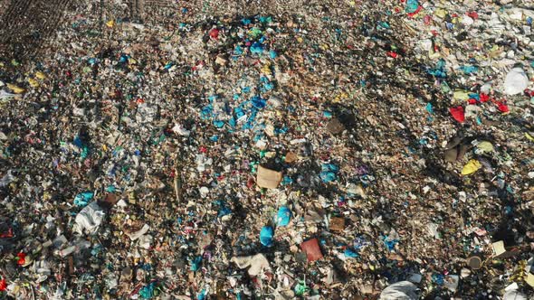 Ecological Catastrophe Caused By Plastic Rubbish and Waste