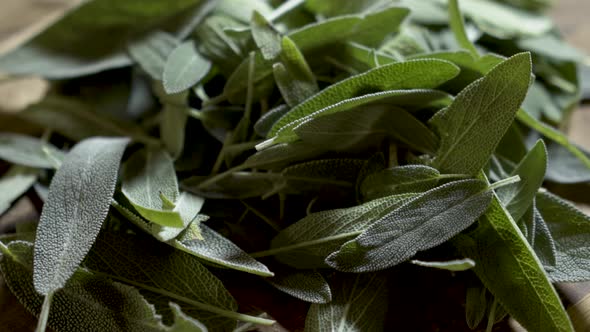 Closeup of Sage leaves on a wooden cuttng board rotating in beautiful backlit light.
