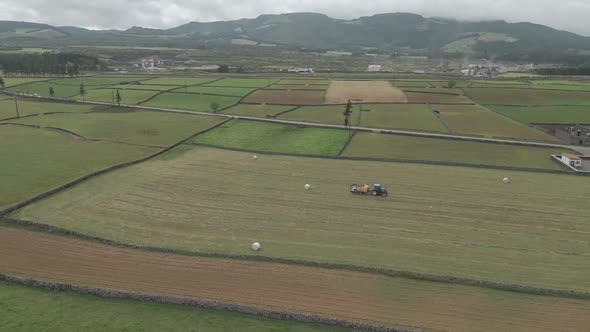 Tractor mowing grass for field silage