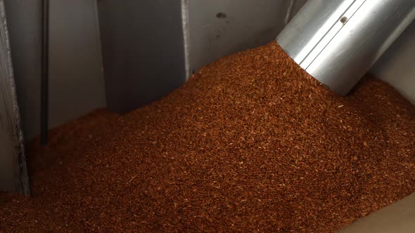 Sorting and cleaning of flax grain from the conveyor