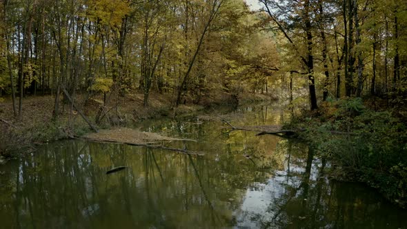 River in autumn yellow forest. Aerial view of Mala Panew River, near Turawa, Opole, Poland