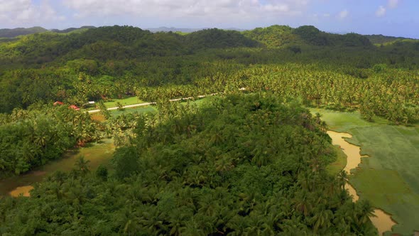 Aerial View of Palms Forest, Road and Mountain on the Siargao Island, Philippines.