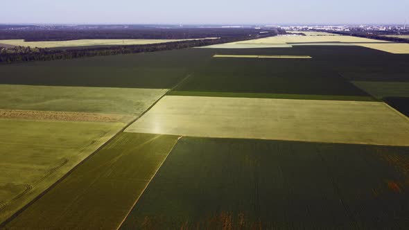 Aerial Drone View Flight Over Different Agricultural Fields Sown